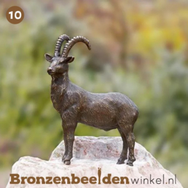 NR 10 | Cadeau man 89 jaar ''Bronzen steenbok'' BBWR88579