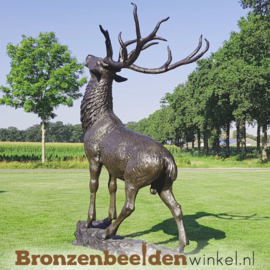 Grote bronzen hert BBW67010