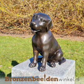 Gedenksteen hond "Labrador" BBW0678gd