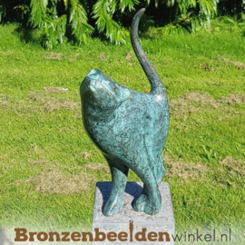 NR 6 | Cadeau vrouw 74 jaar ''Bronzen kat'' BBW1666br