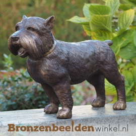 Beeld Yorkshire hond BBW1176