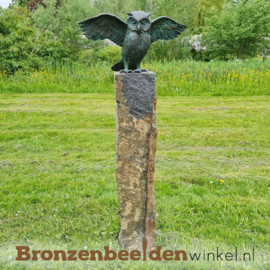 Tuinbeeld uil met gespreide vleugels BBWR88879