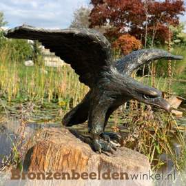 Bronzen adelaar beeldje BBWR88363