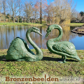 Vijver beelden van zwanen BBW55877br