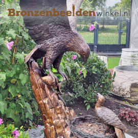 Tuinbeeld adelaar brons BBW1024br