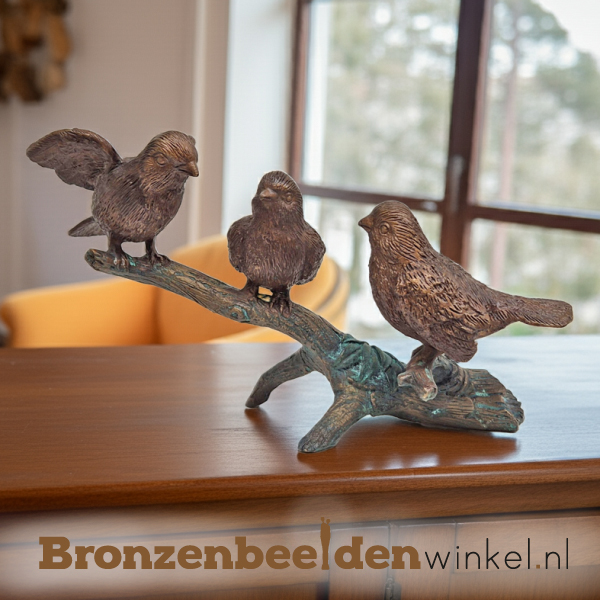 Vogels met jong BBW0977br