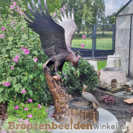 Levensgroot adelaar beeld BBW1024br