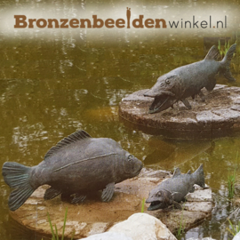 Sterrenbeeld cadeau ''Snoek vis'' BBWR88250