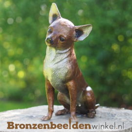Beeld Chihuahua hond in brons BBW37223