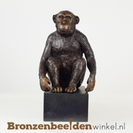 Beeld Chimpansee aap op sokkel BBW1331