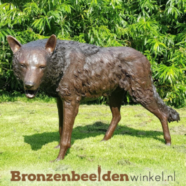 NR 3 | Vaderdag cadeau ''Wolf in brons'' BBW75034