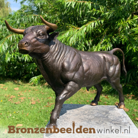 Bronzen stier beeld BBW1307br