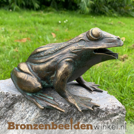 Kikkerbeeld van brons BBWR90110