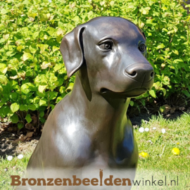 Hondenbeeld Labrador van brons BBW678
