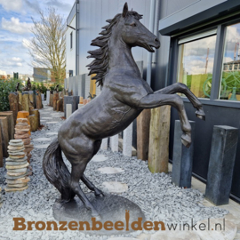 Groot steigerend paard beeld BBW910br