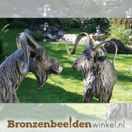 Bronzen bok BBW87132