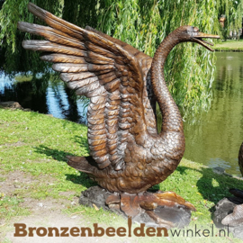 Zwanen beelden BBW55874br