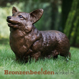 Beeld corgi hond in brons BBW58832
