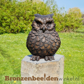 Uilen beeld "Het schattige uiltje" BBW1446br