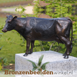 Bronzen koe beeld BBW91154br