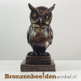 Afstudeercadeau zoon "Wijze Uil op boeken" BBW033br03