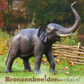 NR 3 | Realistisch dierenbeeld olifant BBW944