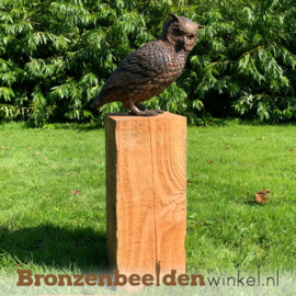 NR 7 | Cadeau man 69 jaar ''Bronzen uil'' BBW2213