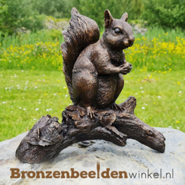 Bronzen eekhoorn beeld BBWAN1168BR