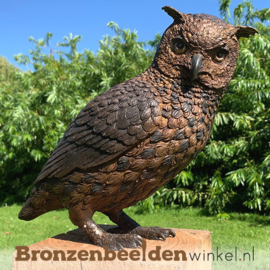 NR 10 | Cadeau man 55 jaar ''Bronzen uil'' BBW2213