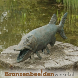 Sterrenbeeld cadeau ''Snoek vis'' BBWR88250