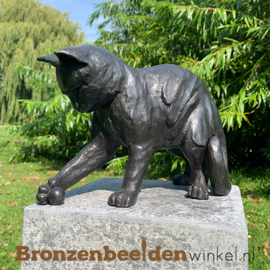 Blijvende herinnering spelende kat met bal BBW1354br