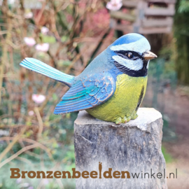 Bronzen blauwmees vogeltje BBW85448