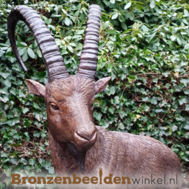 Beeld steenbok brons BBW1276