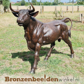 Groot bronzen stieren beeld BBW96999
