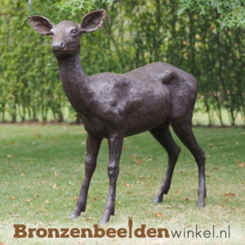 Bronzen vrouwtjes hert BBW47234