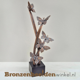 Vlinders voor as BBW60211as