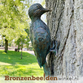 Bronzen bonte specht beeld BBWR88472