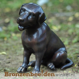 NR 10 | 18 jaar zoon cadeau "Labrador" in brons BBW0678