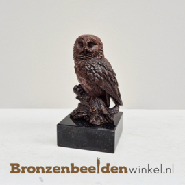 Uil beeldje van brons BBW1513br