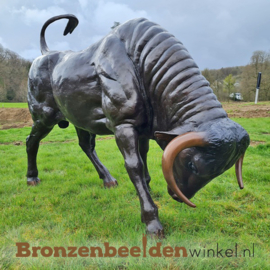 Bronzen stier beeld BBW82058