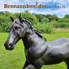 Beeld paard in brons BBW1001a