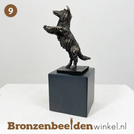 NR 9 | Kleine urn hond "De enthousiaste Collie" BBW043br07as