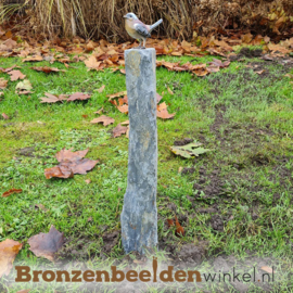 Bronzen vink vogeltje in kleur incl. sokkel BBWF6536fa06