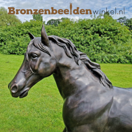 Beeld paard in brons BBW1001a