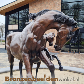 Beeld paard met veulen BBW1000