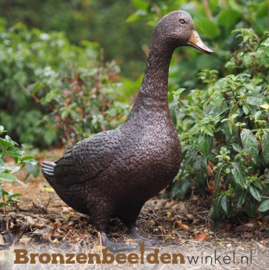 Beeld eend in brons BBW1267br