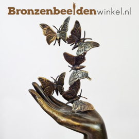 NR 6 | Vlinder cadeau ''Beeld handen met vlinders'' BBW4446