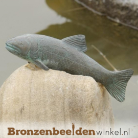 Beeld Forel vis in brons BBWR88035