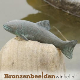 Sterrenbeeld cadeau ''Forel vis in brons'' BBWR88035