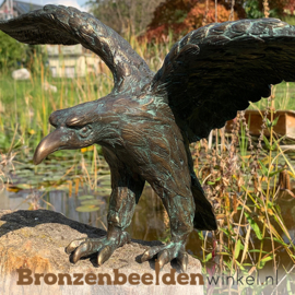 Bronzen adelaar beeldje BBWR88363